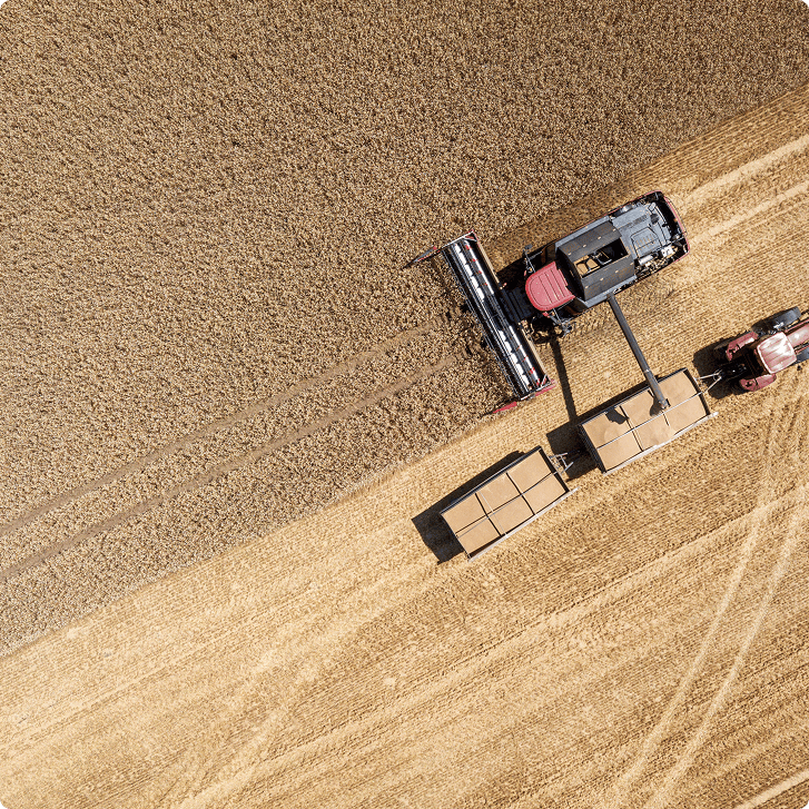 wheat cutter machine